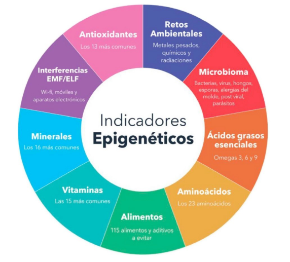 Test Epigenético ¿Qué es?