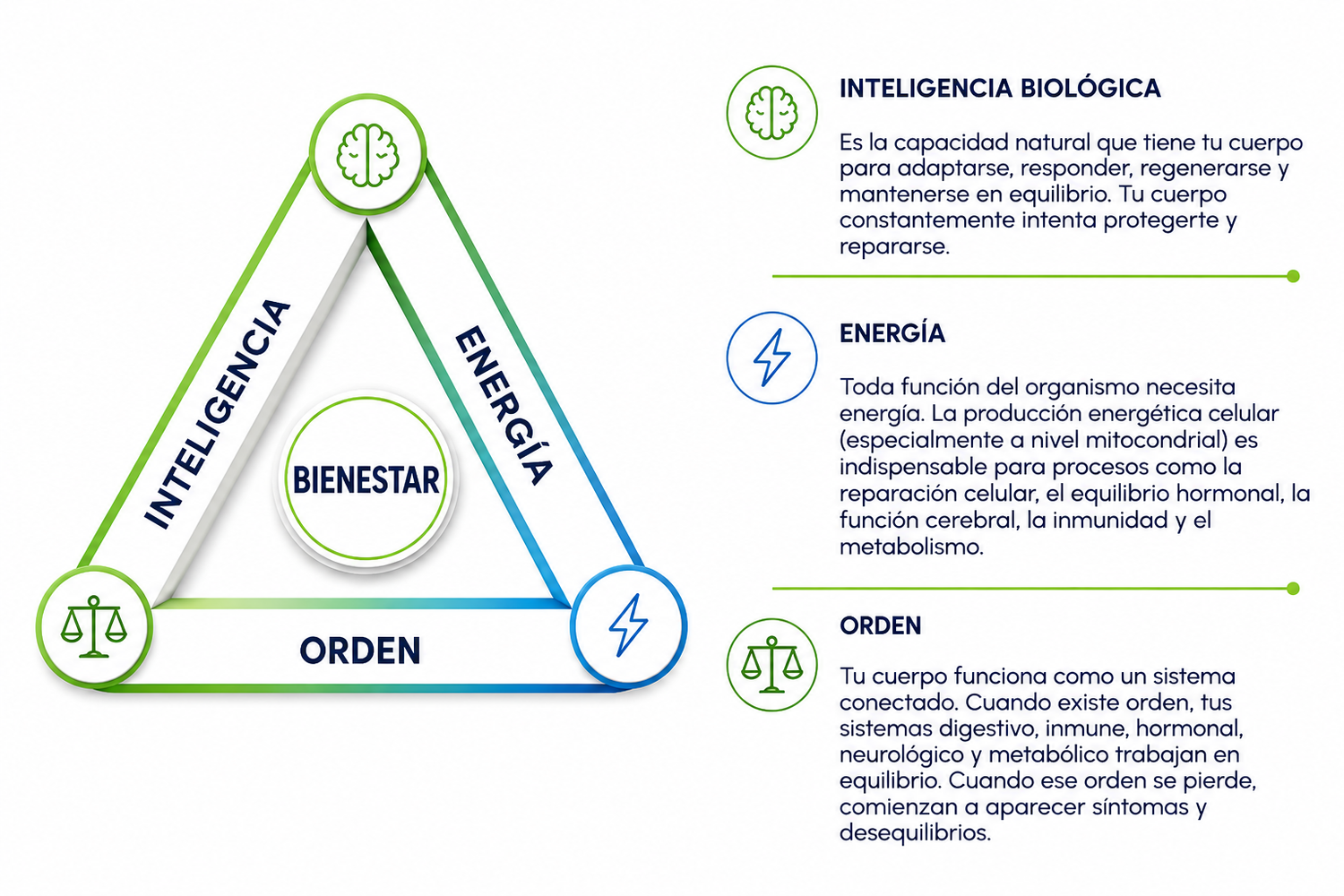 El Triangulo del bienestar