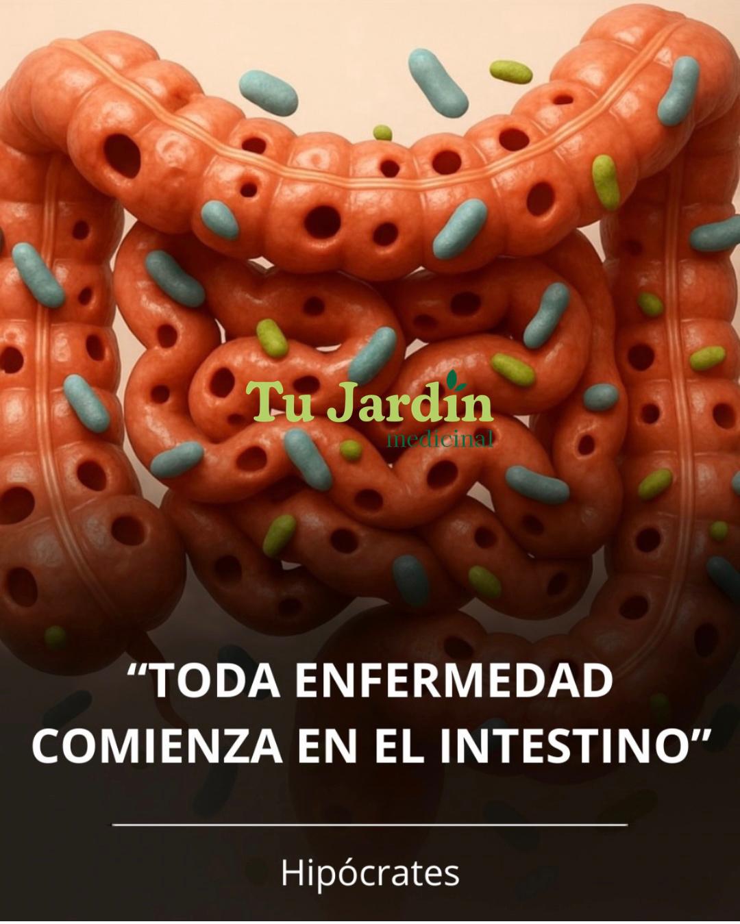 ¿Toda enfermedad comienza en el Intestino Hipócrates?