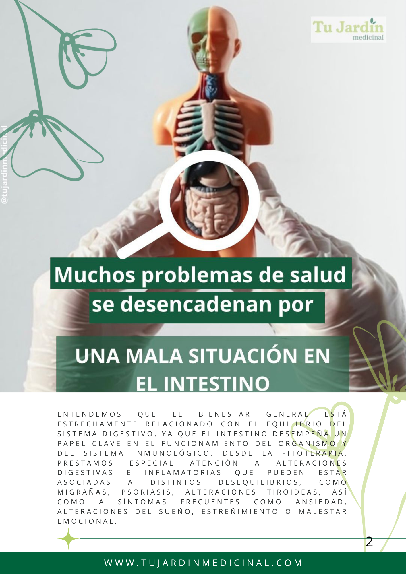 Guia- Tipos de terapias de Desintoxicación