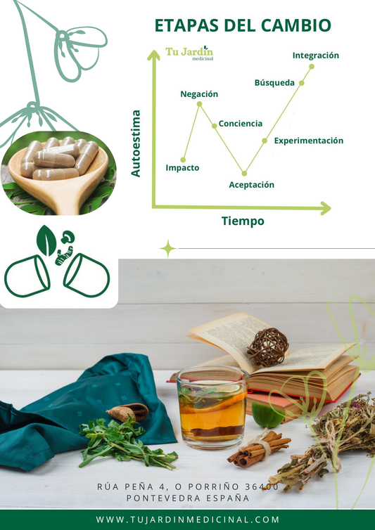 Consulta Online + Guia Protocolo Integrativo