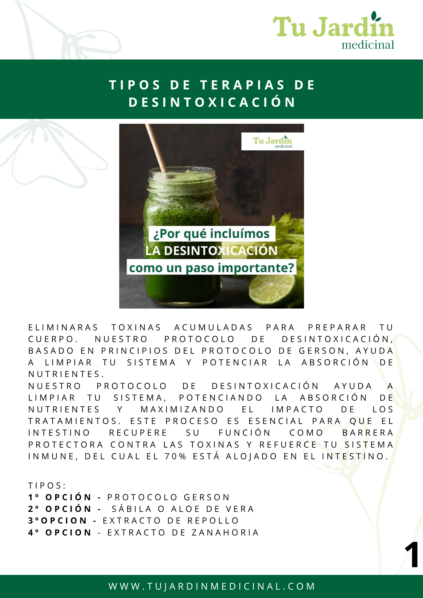 PACK: Guia Terapias de Desintoxicación+Probioticos+Sellado de Intestino
