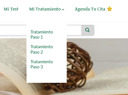 Guia Protocolo Integrativo + Consulta Online/Presencial
