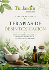 Guia- Tipos de terapias de Desintoxicación