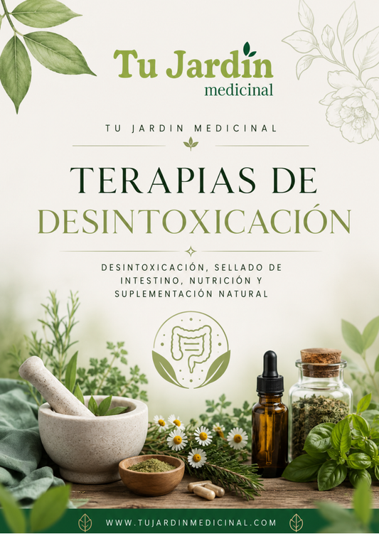 Guia PDF - Tipos de terapias de Desintoxicación +Nutrición