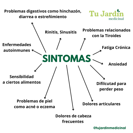 Guia Protocolo Integrativo + Consulta Online/Presencial