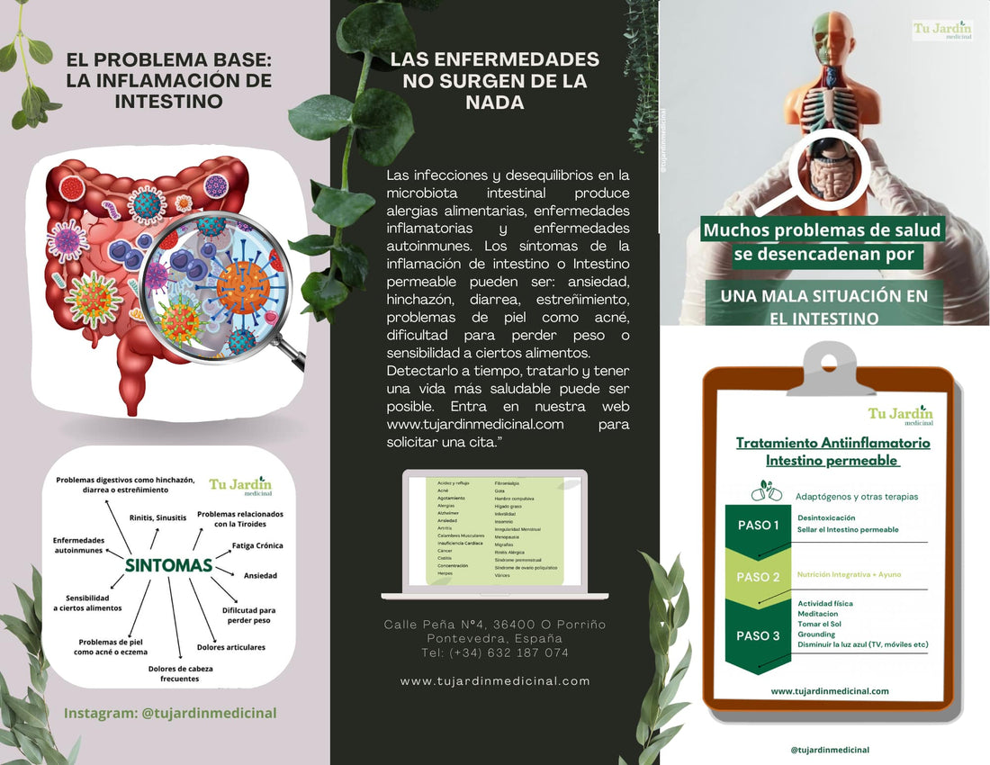 El problema base: LA INFLAMACIÓN