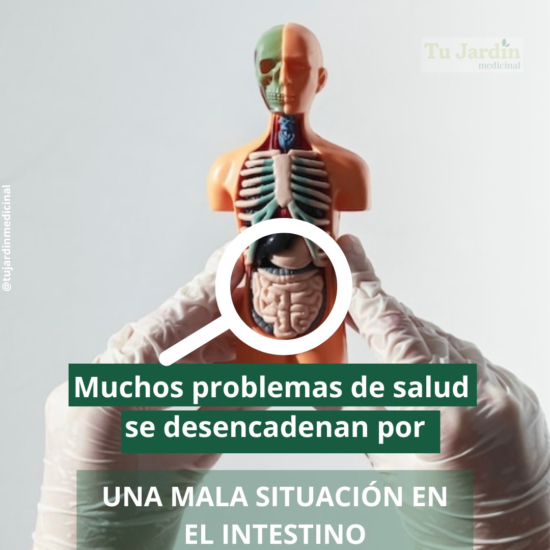 El problema base: LA INFLAMACIÓN