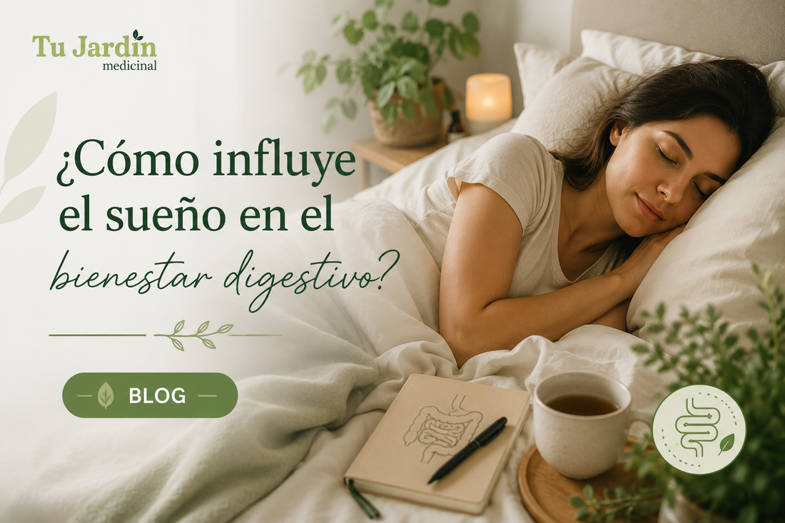 ¿Cómo influye el sueño en el bienestar digestivo?