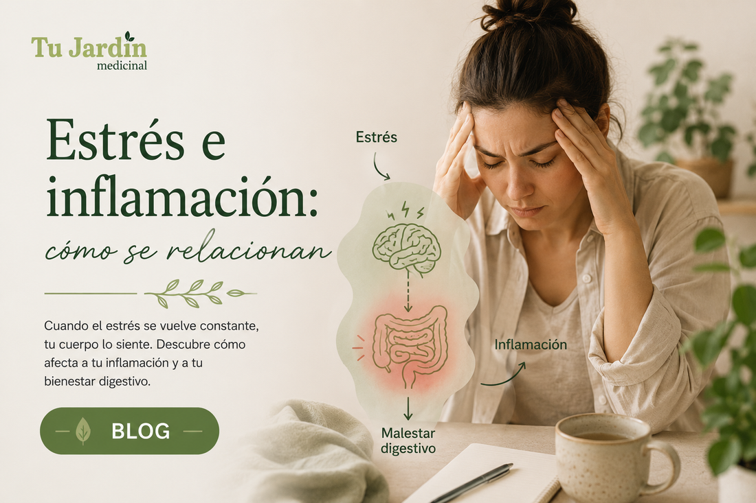 Estrés e inflamación: cómo se relacionan