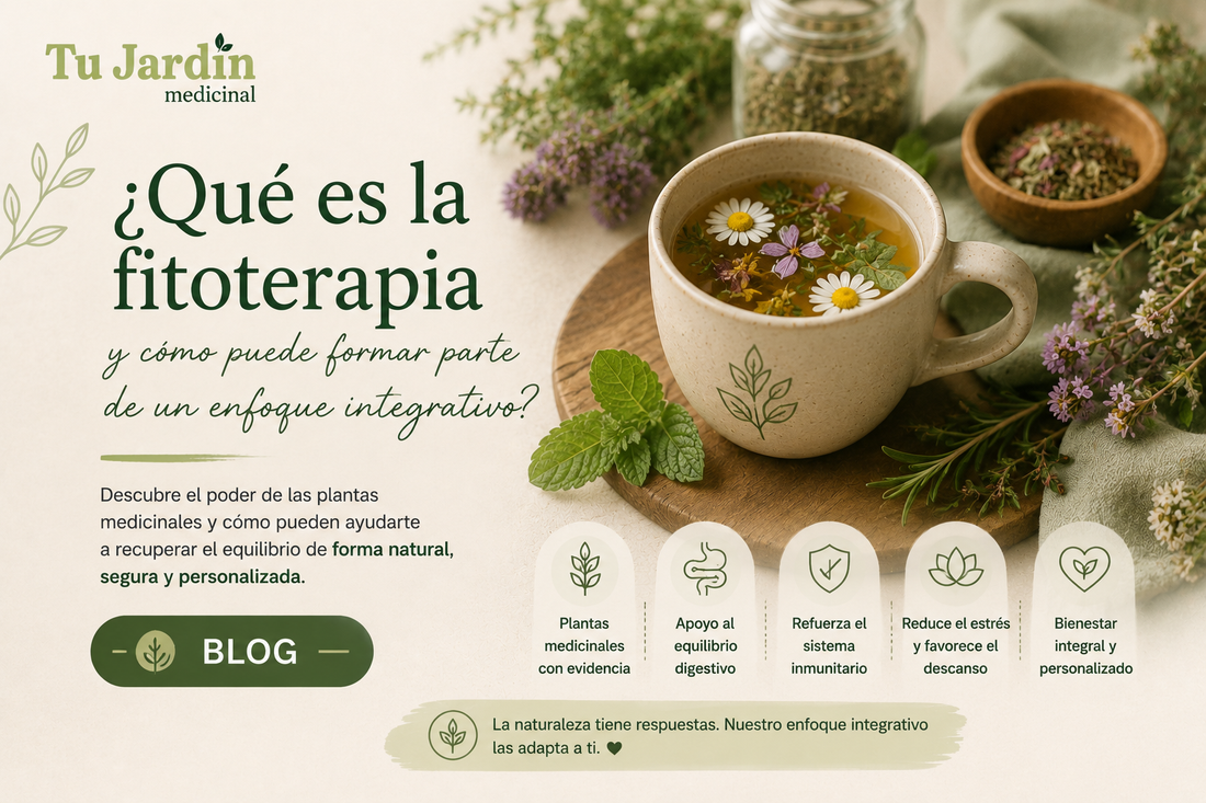 ¿Qué es la fitoterapia y cómo puede formar parte de un enfoque integrativo?