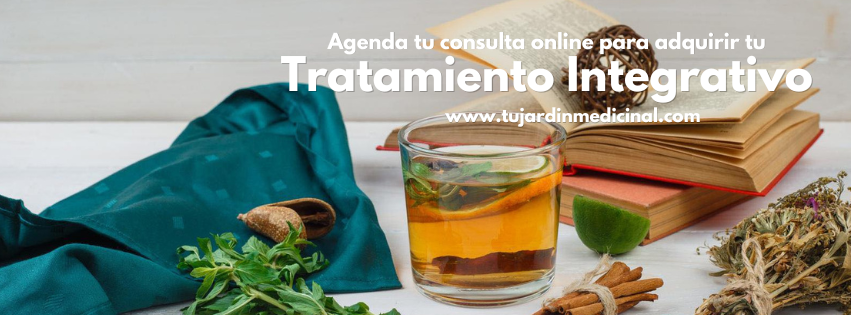 Explicación: Guía Bienestar- Tratamiento Integrativo personalizado+Consulta