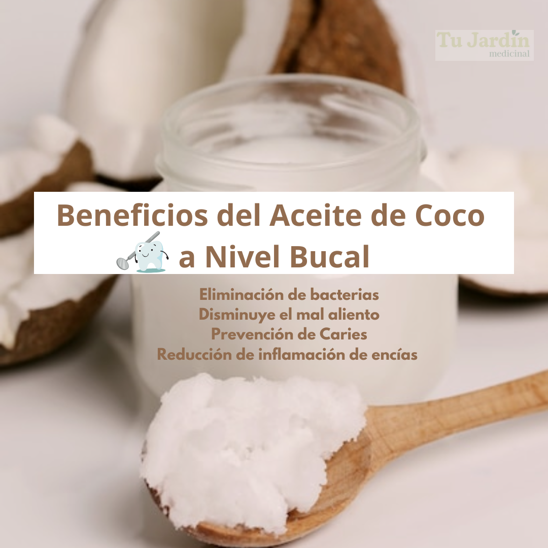 ¿Cómo influye la Salud Bucal en el Sistema Digestivo?
