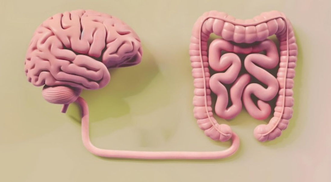 Eje: Intestino-Cerebro