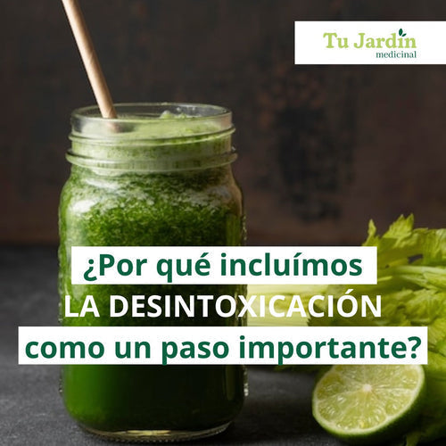 DESINTOXICACION