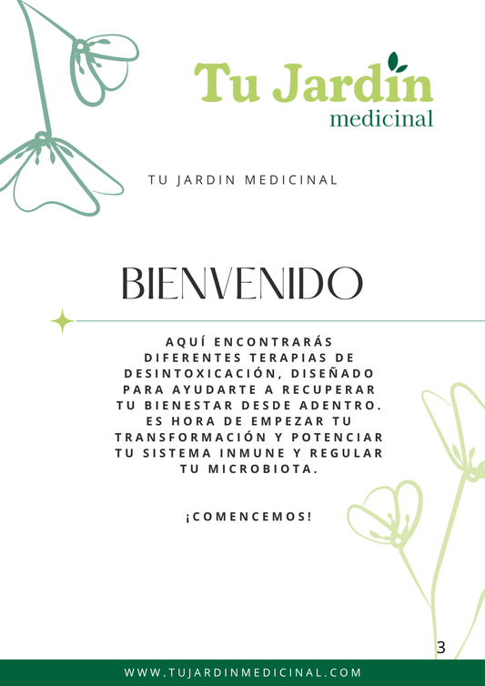 Guia- Tipos de terapias de Desintoxicación