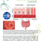PACK: Guia Terapias de Desintoxicación+Probioticos+Sellado de Intestino