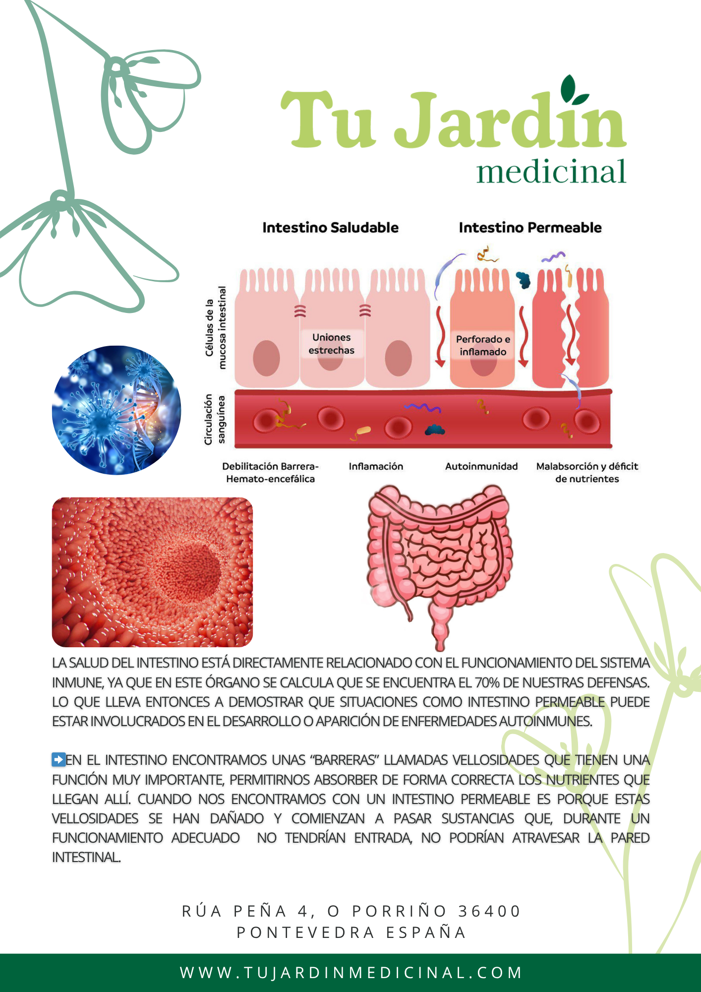 PACK: Guia Terapias de Desintoxicación+Probioticos+Sellado de Intestino