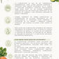 Guia Nutrición e Intestino PDF