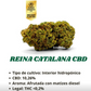 Reina Catalana CBD Bolsa de 1GR - Flor Premiada | Flores Cáñamo Aromáticas España