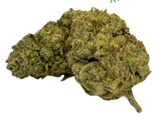 Northern Lights CBD Bolsa 10 GR - Flores de cañamo aromaticas