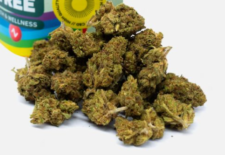 Zkittlez CBD Bolsa de 10GR | Flores Cáñamo Aromáticas España
