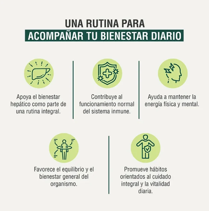 Pack Apoyo hepático y detox- Bienestar digestivo
