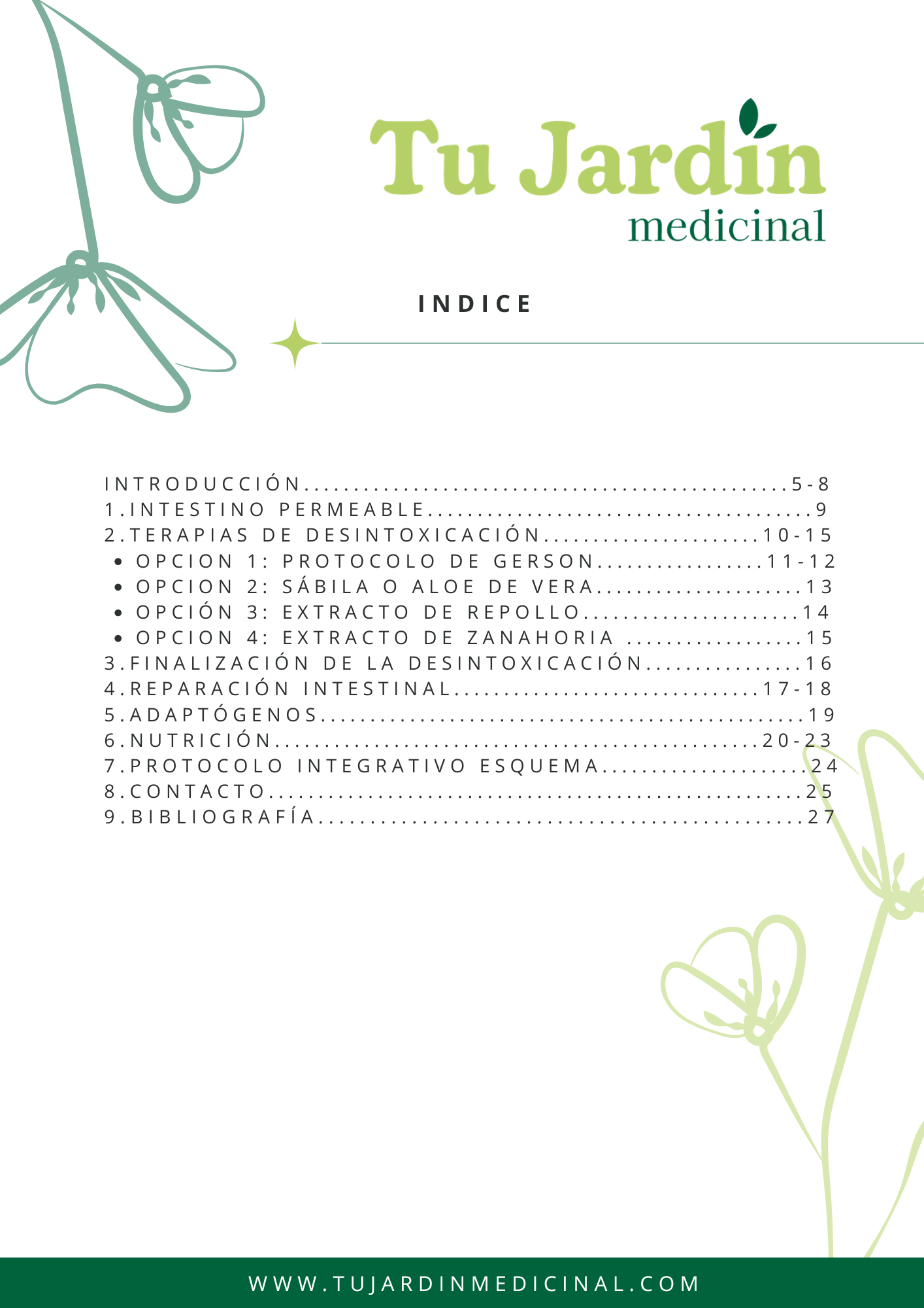 Guia- Tipos de terapias de Desintoxicación +Nutrición