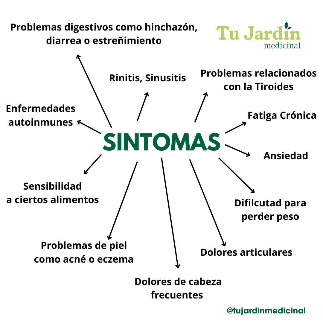 Guia Protocolo Integrativo + Consulta Online/Presencial