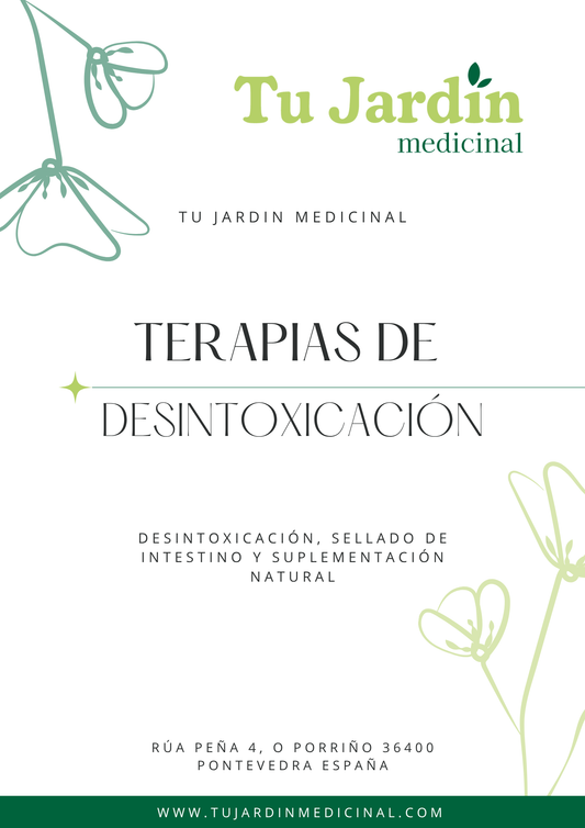 Guia- Tipos de terapias de Desintoxicación