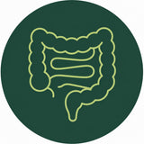 Intestino Inflamado